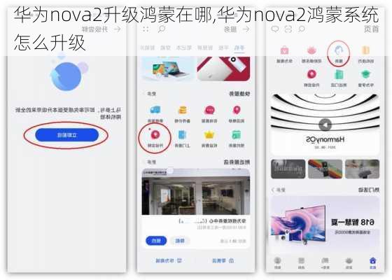 华为nova2升级鸿蒙在哪,华为nova2鸿蒙系统怎么升级