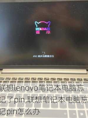 联想lenovo笔记本电脑忘记了pin,联想笔记本电脑忘记pin怎么办