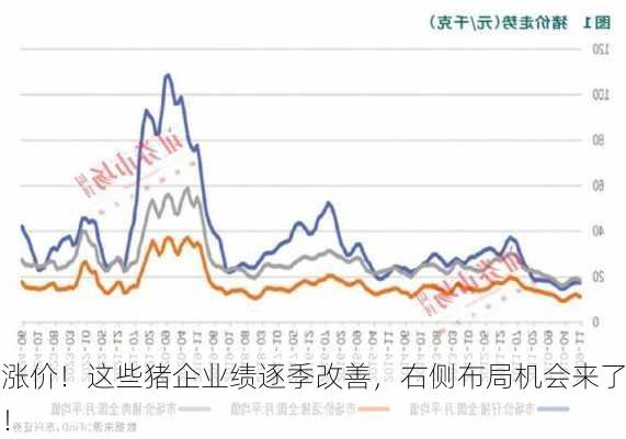 涨价！这些猪企业绩逐季改善，右侧布局机会来了！