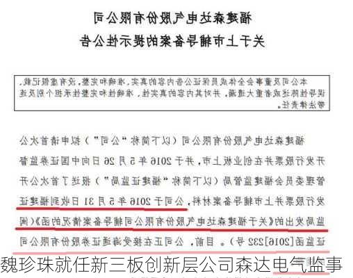 魏珍珠就任新三板创新层公司森达电气监事