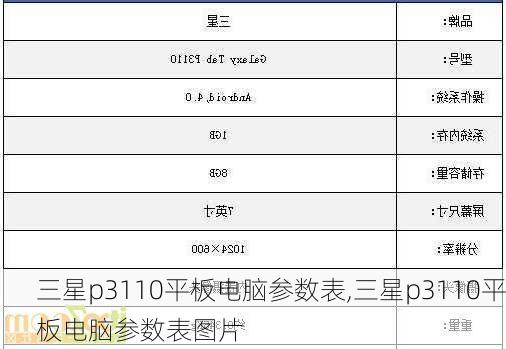 三星p3110平板电脑参数表,三星p3110平板电脑参数表图片