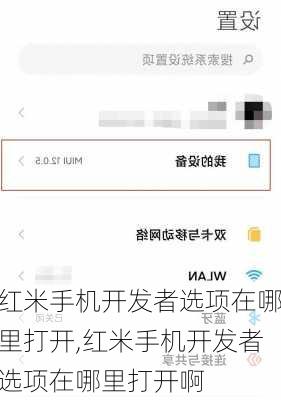 红米手机开发者选项在哪里打开,红米手机开发者选项在哪里打开啊