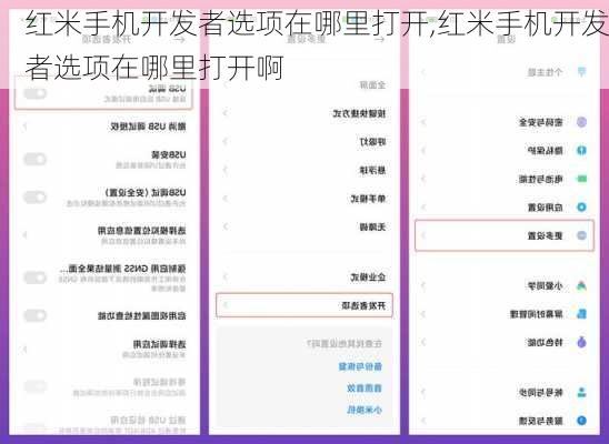 红米手机开发者选项在哪里打开,红米手机开发者选项在哪里打开啊