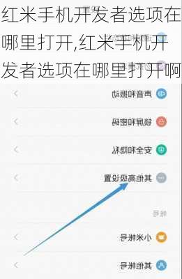 红米手机开发者选项在哪里打开,红米手机开发者选项在哪里打开啊