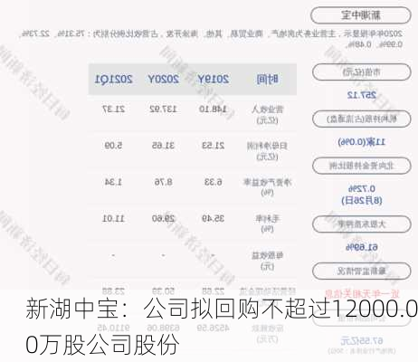 新湖中宝：公司拟回购不超过12000.00万股公司股份