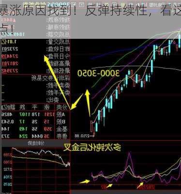 暴涨原因找到！反弹持续性，看这点！