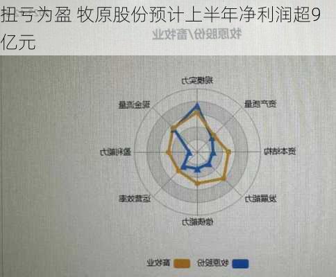 扭亏为盈 牧原股份预计上半年净利润超9亿元