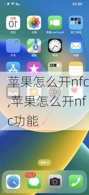 苹果怎么开nfc,苹果怎么开nfc功能