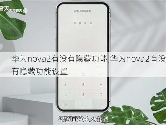 华为nova2有没有隐藏功能,华为nova2有没有隐藏功能设置