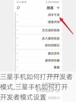 三星手机如何打开开发者模式,三星手机如何打开开发者模式设置