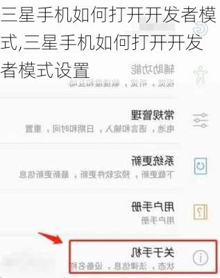 三星手机如何打开开发者模式,三星手机如何打开开发者模式设置