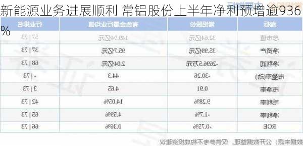 新能源业务进展顺利 常铝股份上半年净利预增逾936%