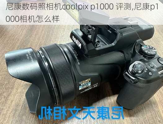 尼康数码照相机coolpix p1000 评测,尼康p1000相机怎么样