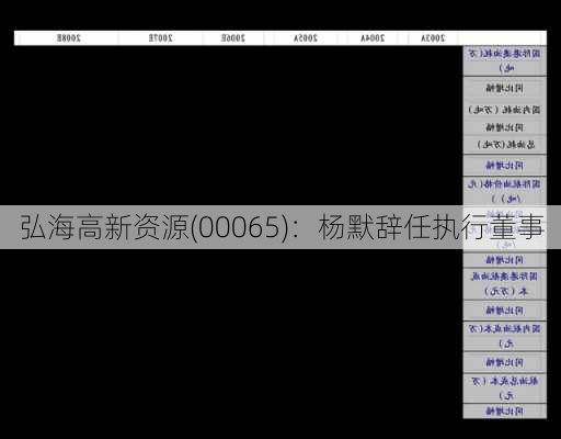 弘海高新资源(00065)：杨默辞任执行董事