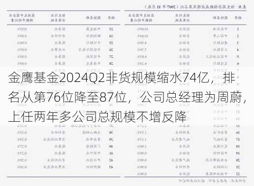 金鹰基金2024Q2非货规模缩水74亿，排名从第76位降至87位，公司总经理为周蔚，上任两年多公司总规模不增反降