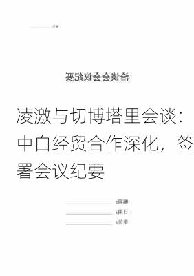 凌激与切博塔里会谈：中白经贸合作深化，签署会议纪要