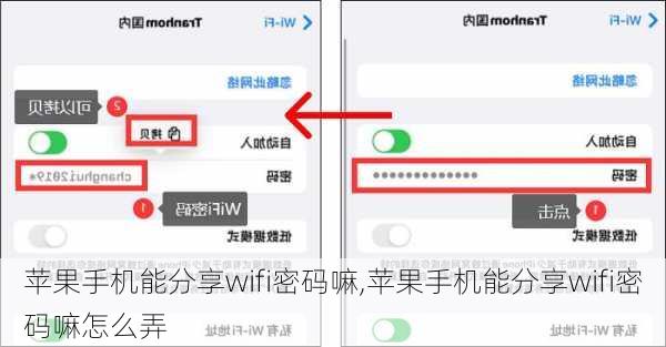 苹果手机能分享wifi密码嘛,苹果手机能分享wifi密码嘛怎么弄