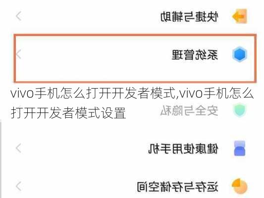 vivo手机怎么打开开发者模式,vivo手机怎么打开开发者模式设置