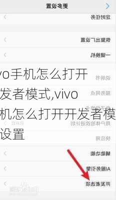 vivo手机怎么打开开发者模式,vivo手机怎么打开开发者模式设置