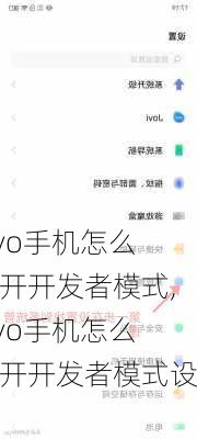 vivo手机怎么打开开发者模式,vivo手机怎么打开开发者模式设置