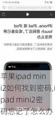 苹果ipad mini2如何找到密码,ipad mini2密码忘记了怎么办