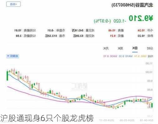 沪股通现身6只个股龙虎榜