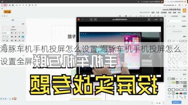 海豚车机手机投屏怎么设置,海豚车机手机投屏怎么设置全屏