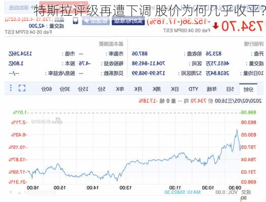 特斯拉评级再遭下调 股价为何几乎收平？