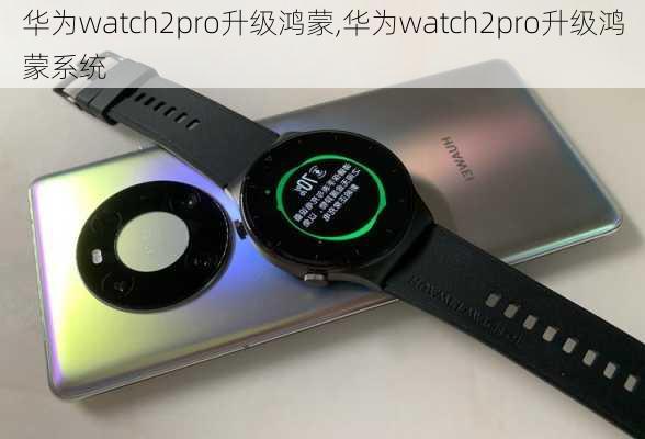 华为watch2pro升级鸿蒙,华为watch2pro升级鸿蒙系统