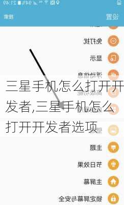 三星手机怎么打开开发者,三星手机怎么打开开发者选项