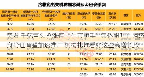 突发 千亿巨头拉涨停 “牛市旗手”集体飙升！网络身份证有望加速推广 机构扎堆看好这些高增长股