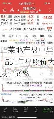 正荣地产盘中异动 临近午盘股价大跌5.56%