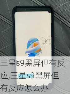 三星s9黑屏但有反应,三星s9黑屏但有反应怎么办