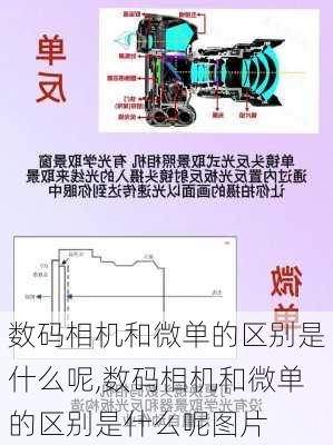 数码相机和微单的区别是什么呢,数码相机和微单的区别是什么呢图片