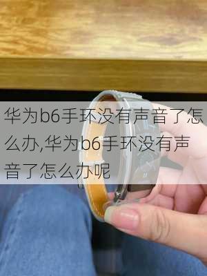 华为b6手环没有声音了怎么办,华为b6手环没有声音了怎么办呢