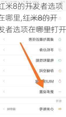 红米8的开发者选项在哪里,红米8的开发者选项在哪里打开