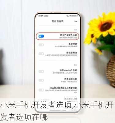小米手机开发者选项,小米手机开发者选项在哪