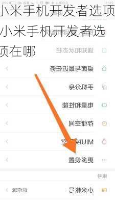 小米手机开发者选项,小米手机开发者选项在哪