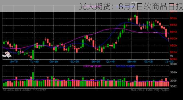 光大期货：8月7日软商品日报