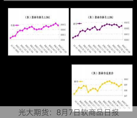 光大期货：8月7日软商品日报