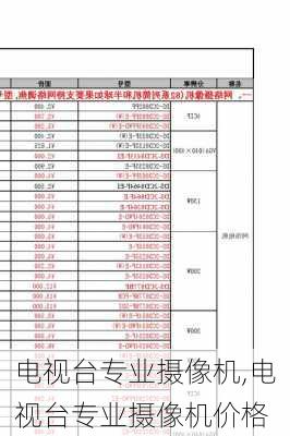 电视台专业摄像机,电视台专业摄像机价格