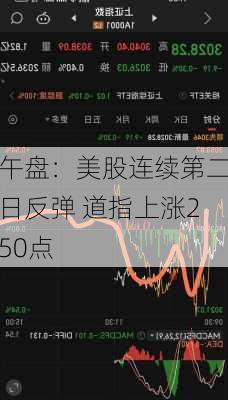 午盘：美股连续第二日反弹 道指上涨250点