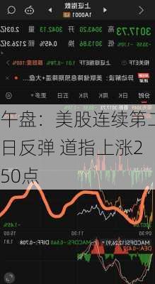 午盘：美股连续第二日反弹 道指上涨250点