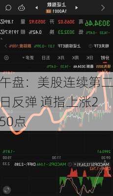 午盘：美股连续第二日反弹 道指上涨250点