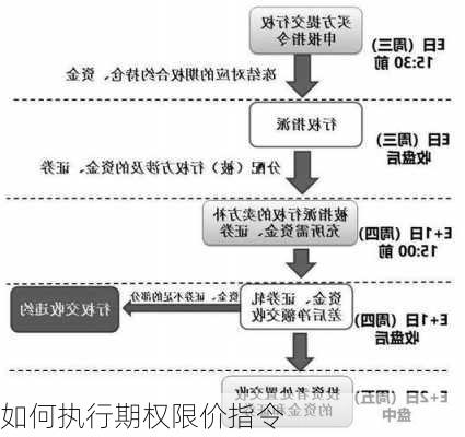 如何执行期权限价指令