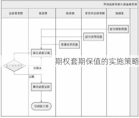 期权套期保值的实施策略