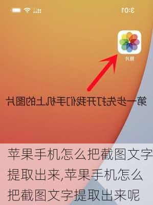 苹果手机怎么把截图文字提取出来,苹果手机怎么把截图文字提取出来呢