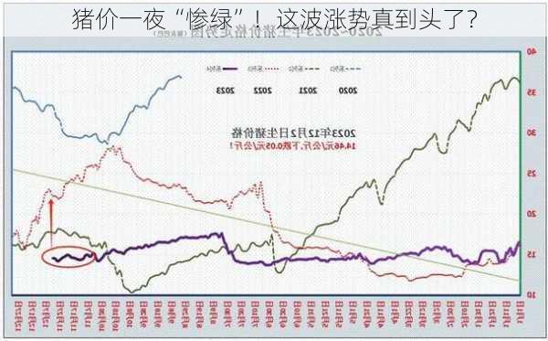 猪价一夜“惨绿”！这波涨势真到头了？