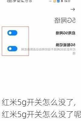 红米5g开关怎么没了,红米5g开关怎么没了呢