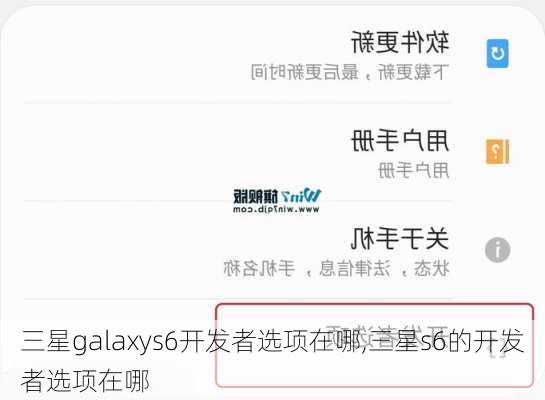 三星galaxys6开发者选项在哪,三星s6的开发者选项在哪